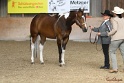 23-APHA SS_028